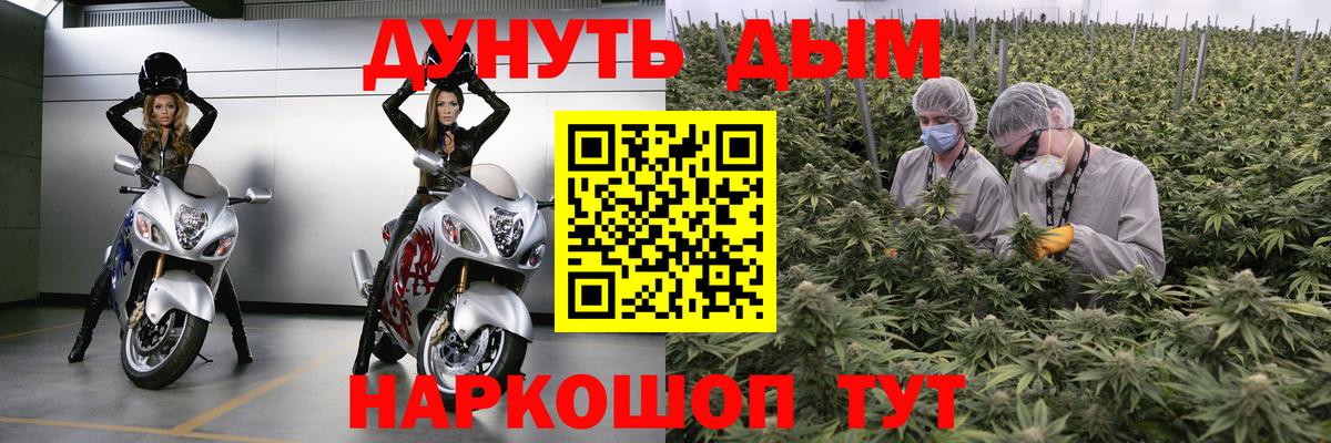 Бошки Шишки план Лысьва